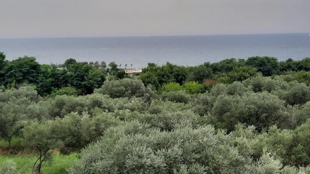 Apartma Coccolo Zambratija  Apartment Zambratija (Istria)